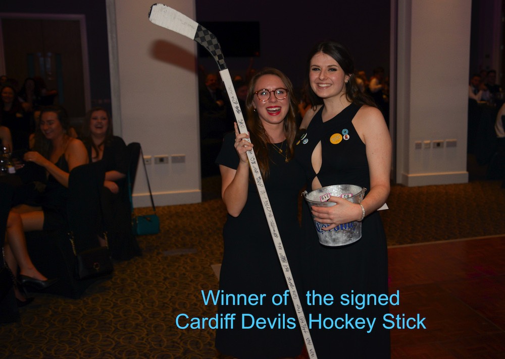 A short description about the picture goes here